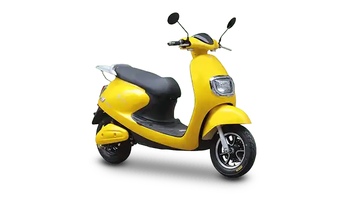 Techo Electra Electric Scooters