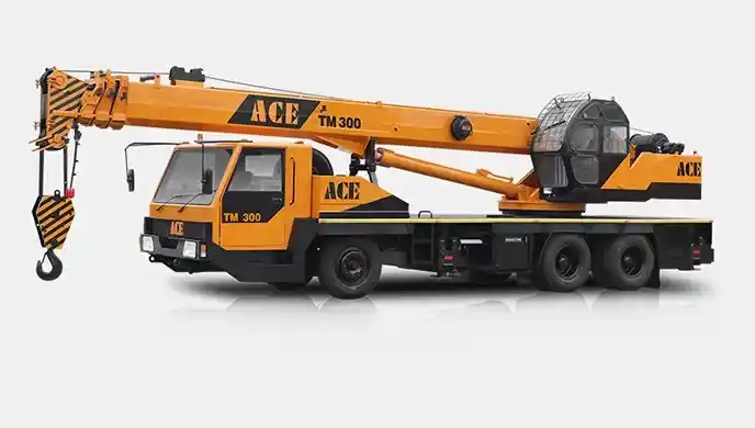 ACE TM 300 Crane