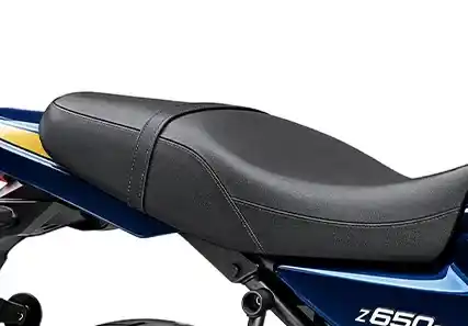 Kawasaki Z650RS - Relaxed Riding Position